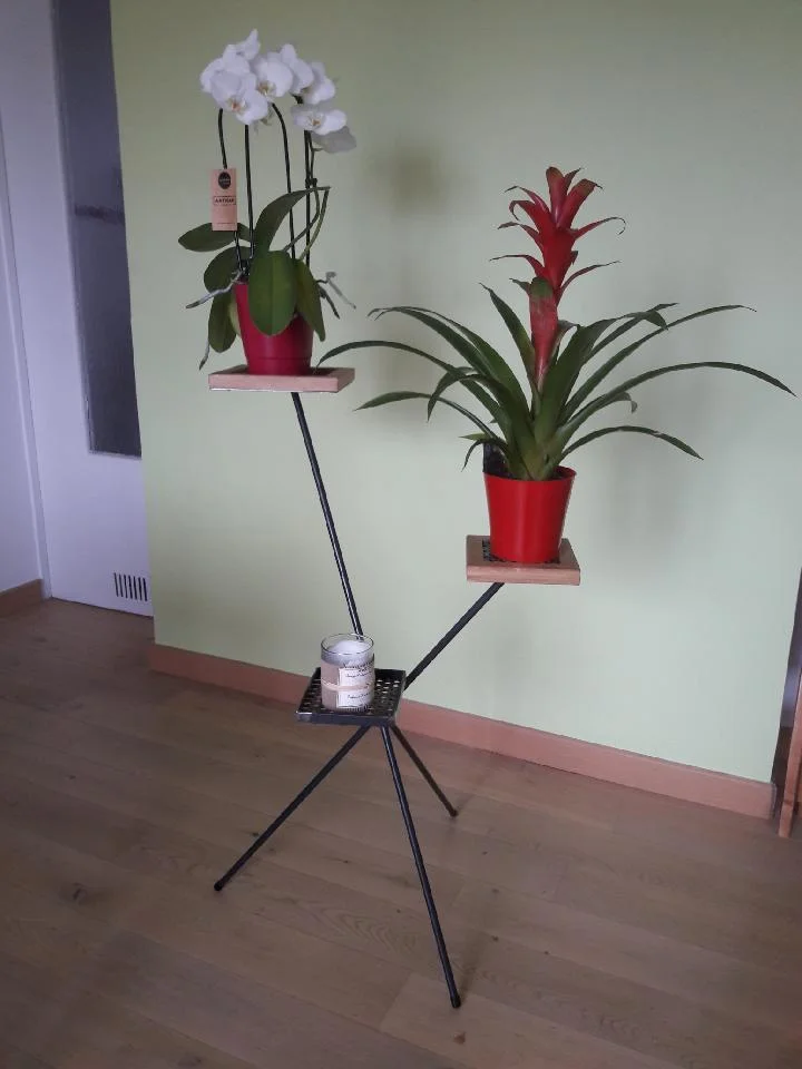 Porte plante