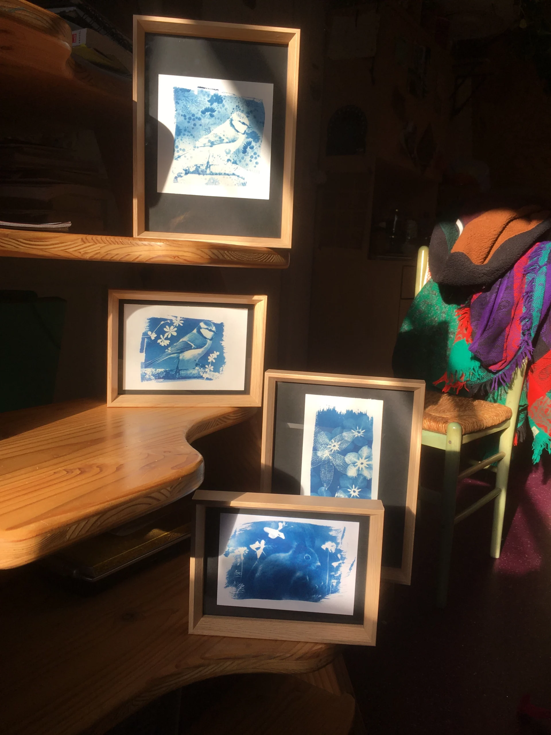 Cyanotype et cadre en bois