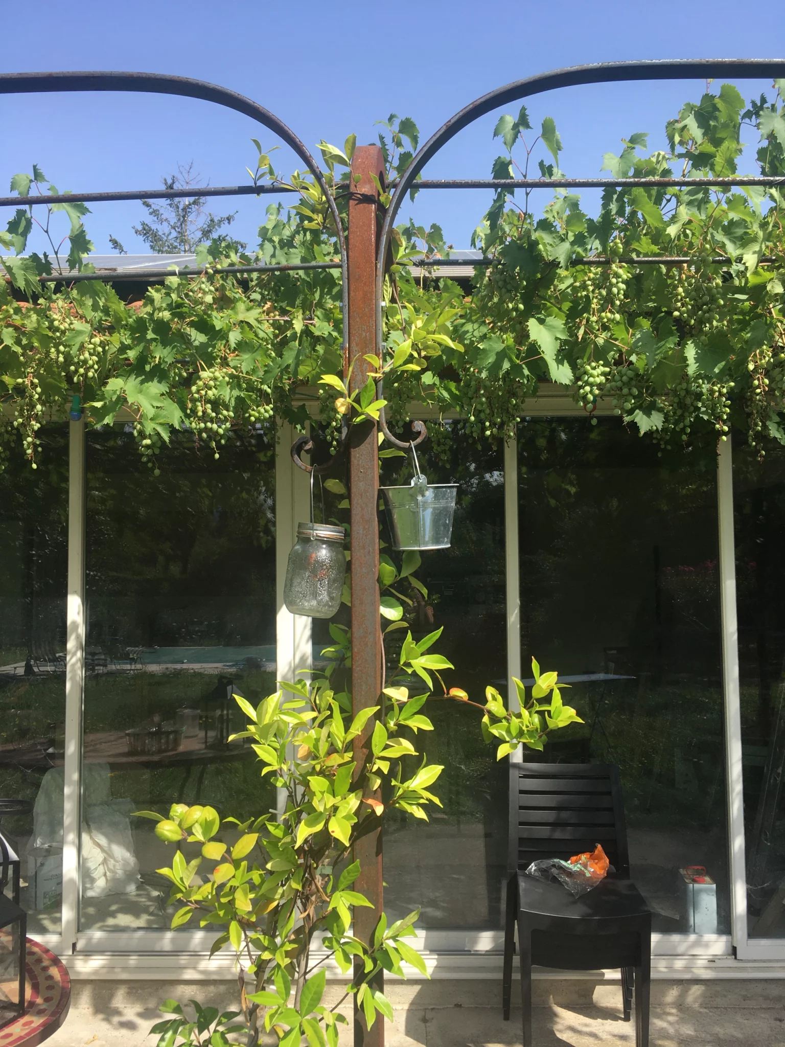 Tonnelle accueillant une vigne