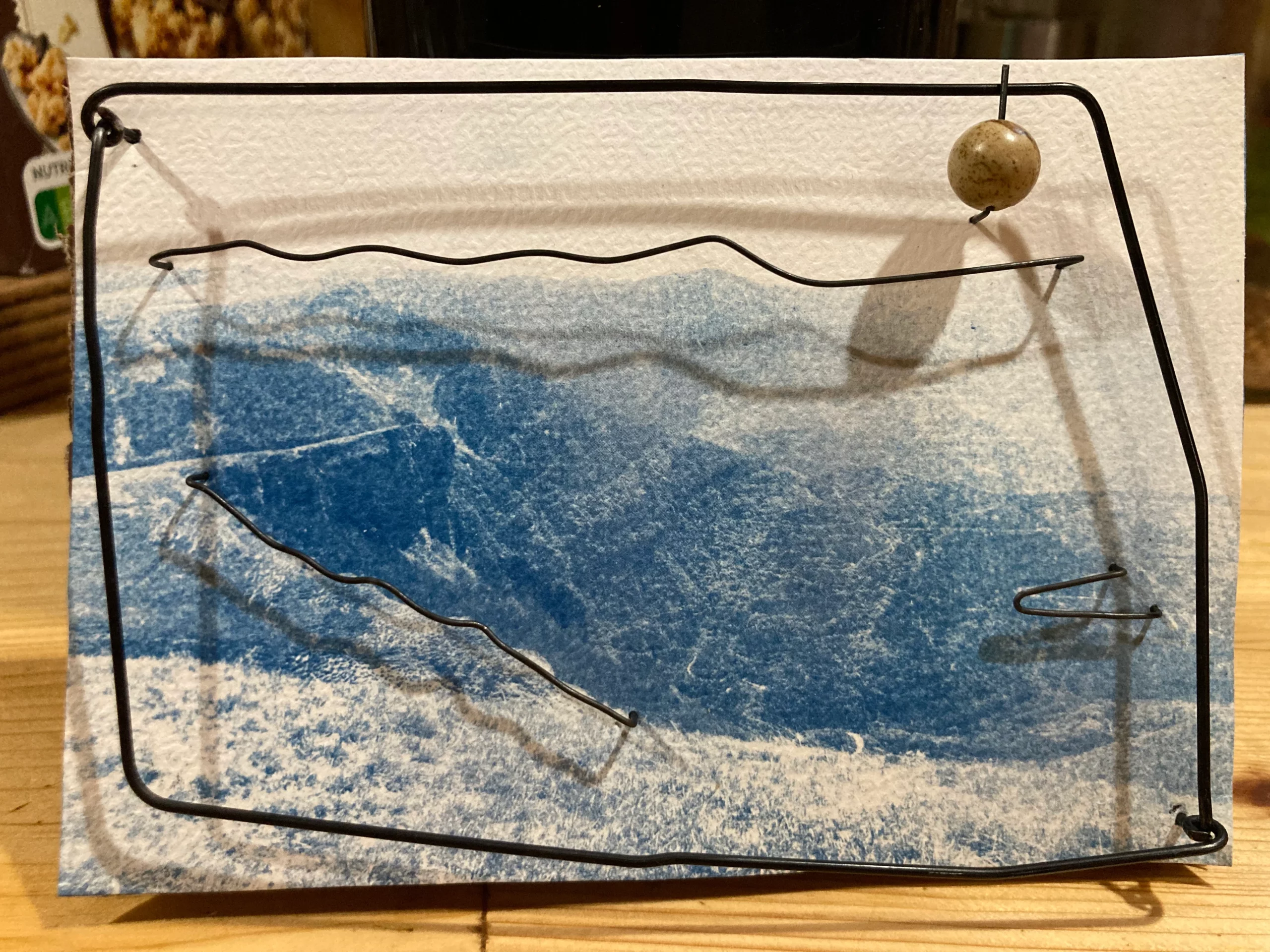 Cyanotype et fil de fer