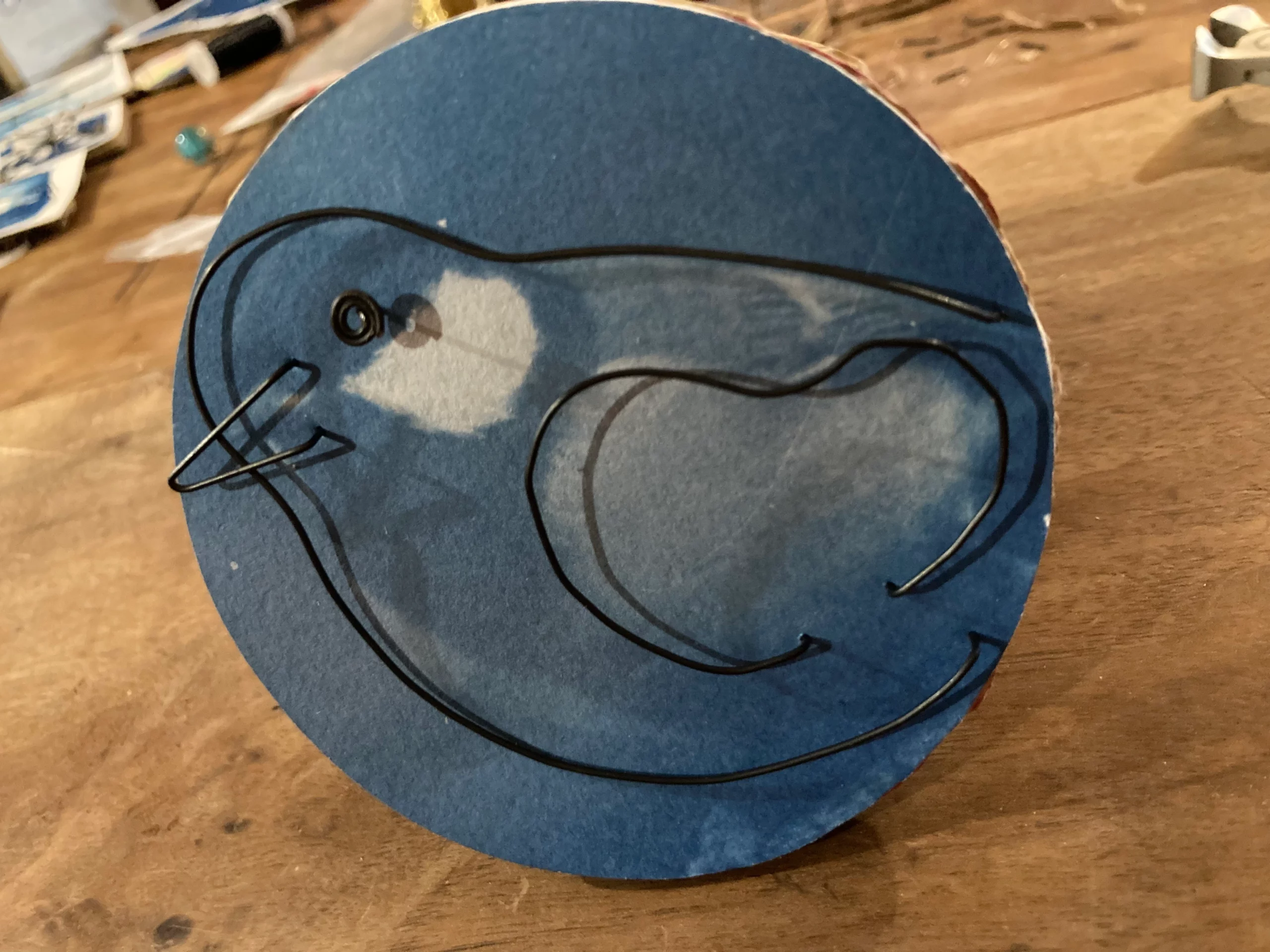 Cyanotype et fil de fer