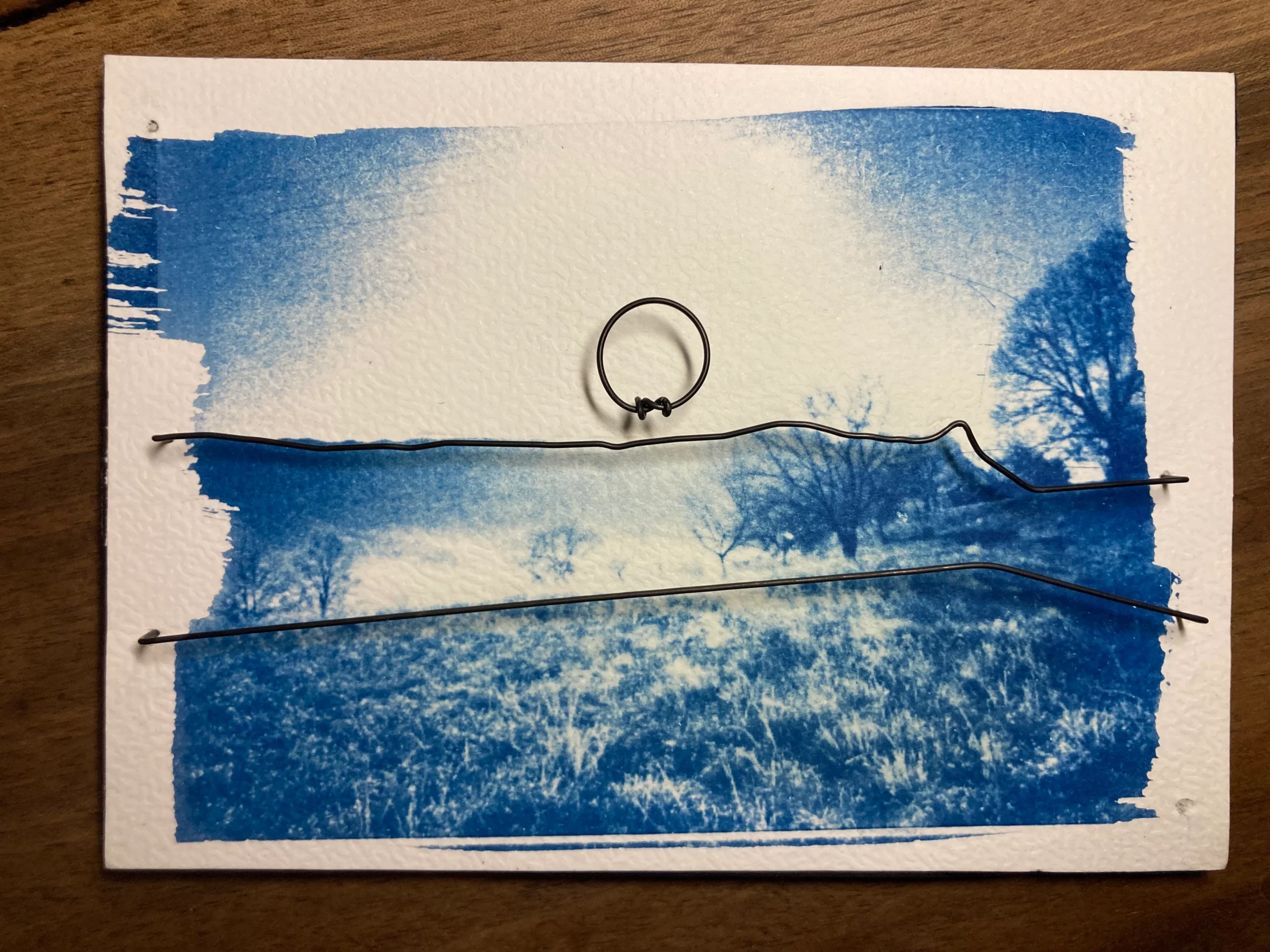 Cyanotype et fil de fer
