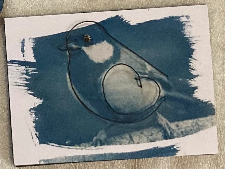 cyanotype et fil de fer